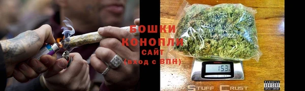 сатива Белокуриха