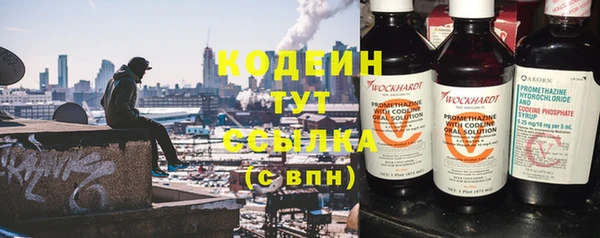 сатива Белокуриха