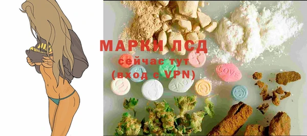 сатива Белокуриха