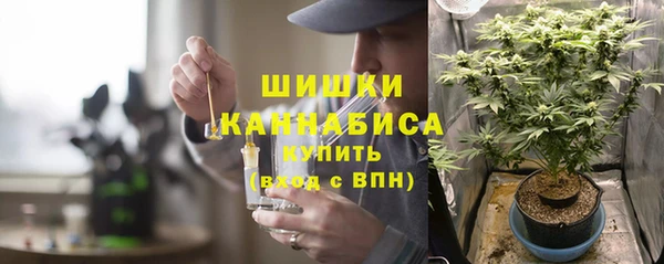 сатива Белокуриха